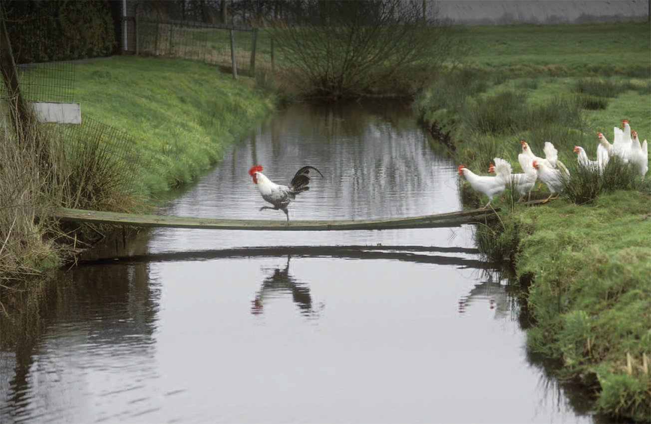 HET GEVAAR VAN COMPETENTE LEIDERS