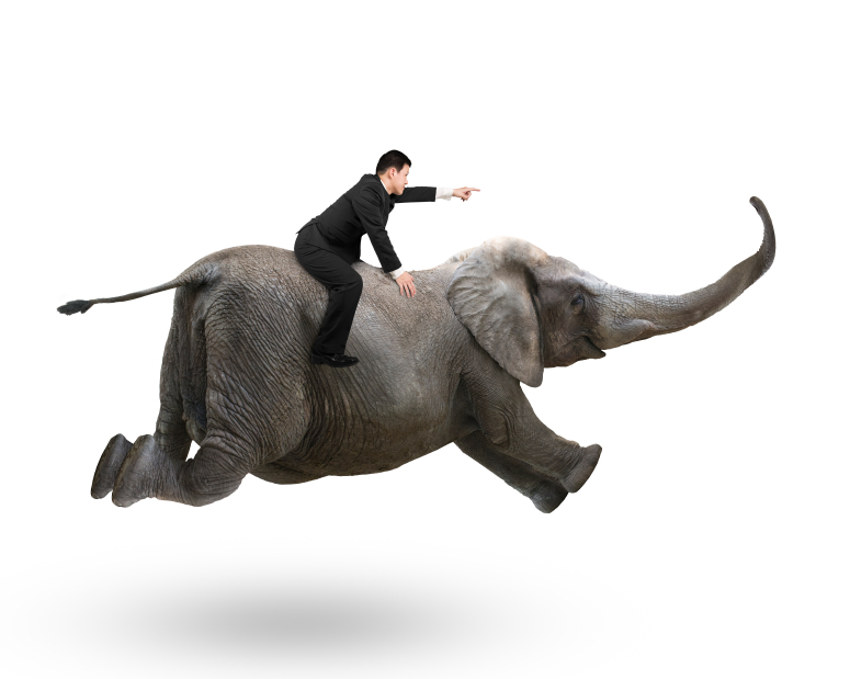 DE STRIJD TUSSEN DE OLIFANT EN DE BERIJDER