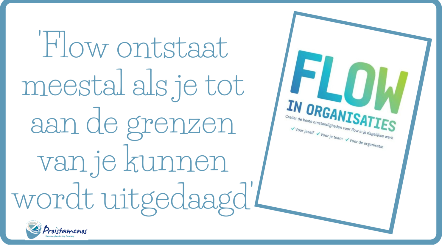 FLOW IN ORGANISATIES